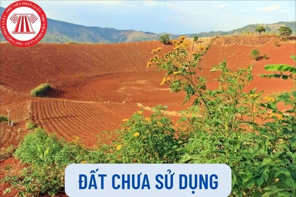 Đất Chưa Sử Dụng: Định Nghĩa, Quy Định và Cơ Hội Đầu Tư