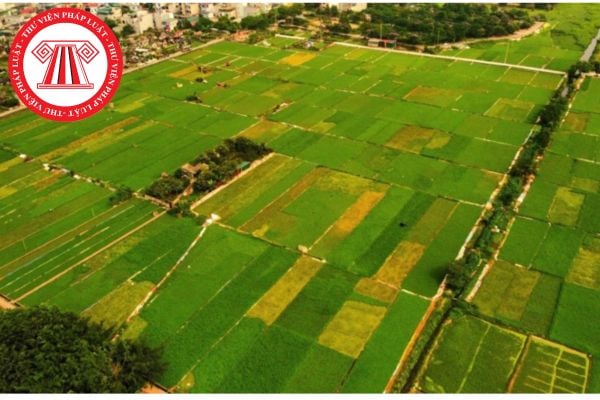 Sổ Đỏ 2024: Toàn Cảnh Quy Định Cấp Giấy Chứng Nhận Quyền Sử Dụng Đất