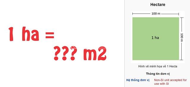 Hecta (ha) Là Gì? Giải Mã Đơn Vị Đo Diện Tích Trong Bất Động Sản