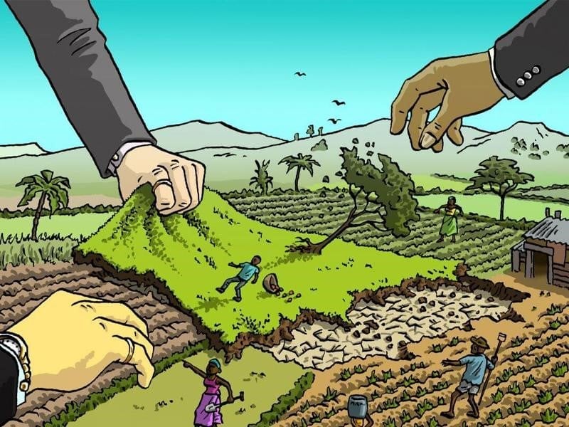 Đất Ở 20 Năm Không Tranh Chấp Có Được Cấp Sổ Đỏ Không?