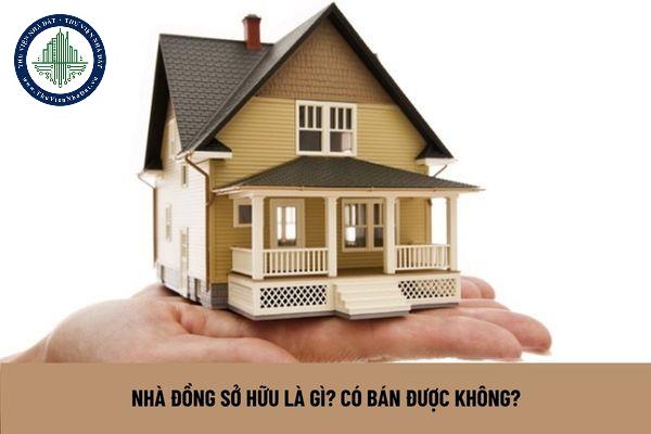 Nhà Đồng Sở Hữu: Toàn Tập Thông Tin Pháp Lý Và Lưu Ý Khi Giao Dịch