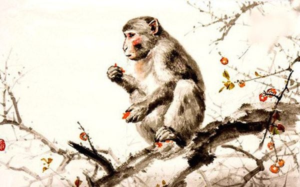 Tuổi Thân Làm Nhà Năm 2024: Cẩm Nang Phong Thủy Chi Tiết Từ A-Z