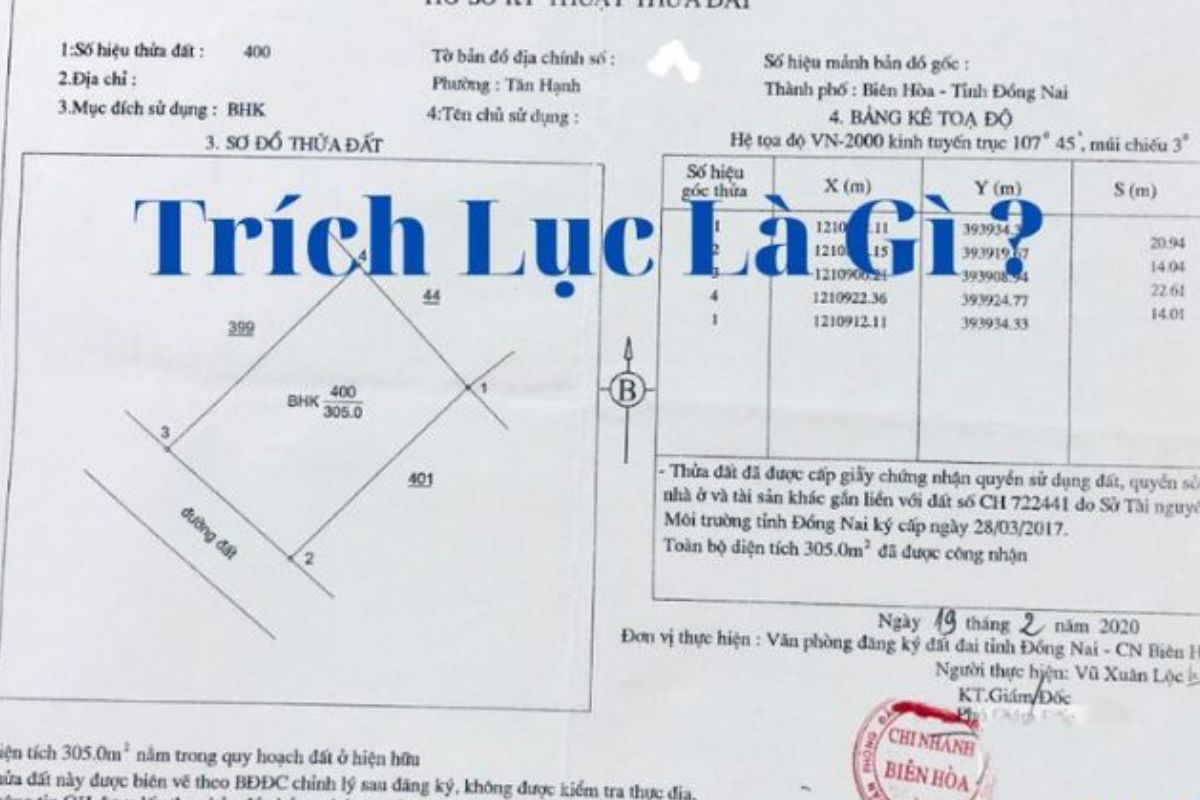 Trích Lục Đất Là Gì? Hướng Dẫn Thủ Tục Chi Tiết Và Giải Đáp Thắc Mắc 2024