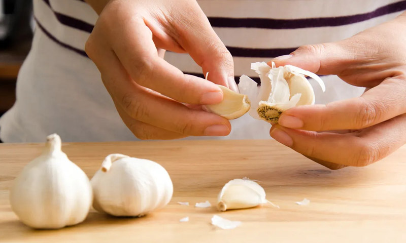 9 Cách Đuổi Côn Trùng Khỏi Nhà An Toàn và Hiệu Quả