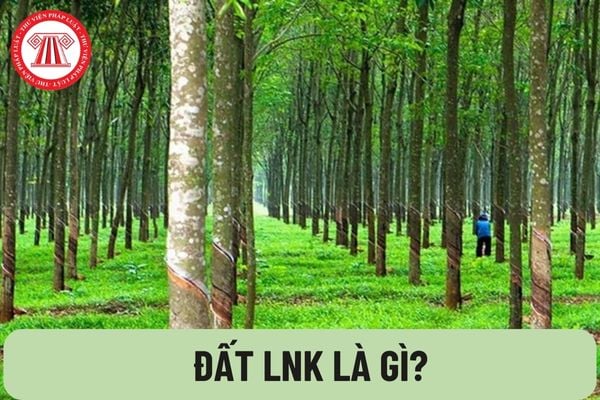 Đất LNK là gì? Quy định và cách chuyển đổi sang đất ở (ONT) năm 2024