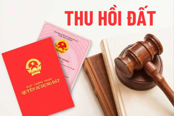 Nhà Nước Thu Hồi Sổ Đỏ: Các Trường Hợp & Thủ Tục Chi Tiết (2024)