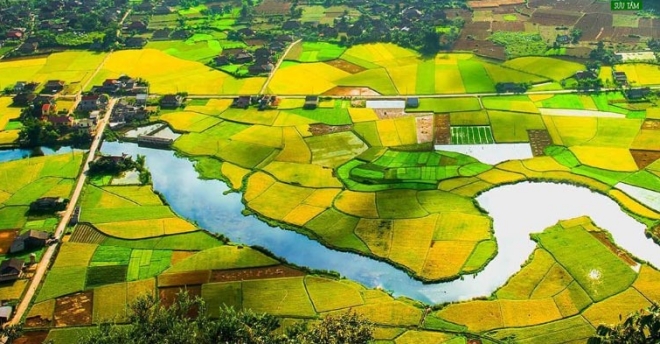 Lấn Chiếm Đất Đai: Định Nghĩa, Xử Phạt và Cơ Hội Cấp Sổ Đỏ (Cập Nhật 2024)