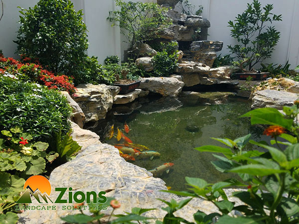 Xây Hồ Cá Koi Hợp Phong Thủy Cho Nhà Hướng Tây: Bí Quyết Thu Hút Tài Lộc