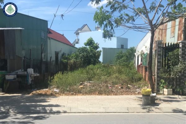 Bất Động Sản Nhà Bè: Cơ Hội Đầu Tư Khi Lên Quận (Phân Tích Từ Chuyên Gia)