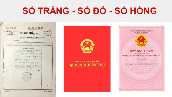 Phân biệt Sổ Trắng, Sổ Đỏ, Sổ Hồng: Giải đáp từ A-Z