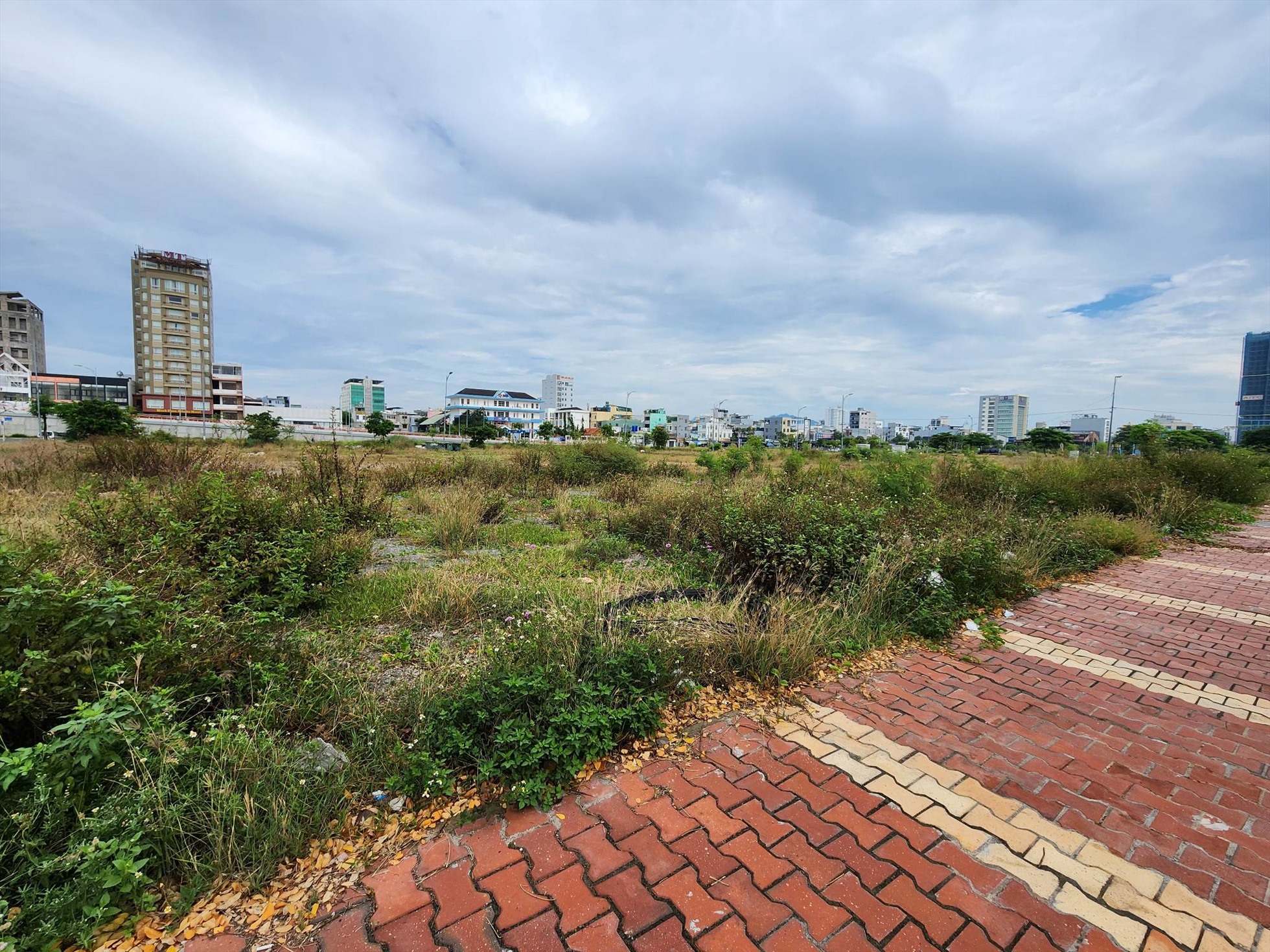 Biến Đất Trống Thành Tổ Ấm: Ngôi Nhà Cong Độc Đáo Với Thiết Kế Tối Giản