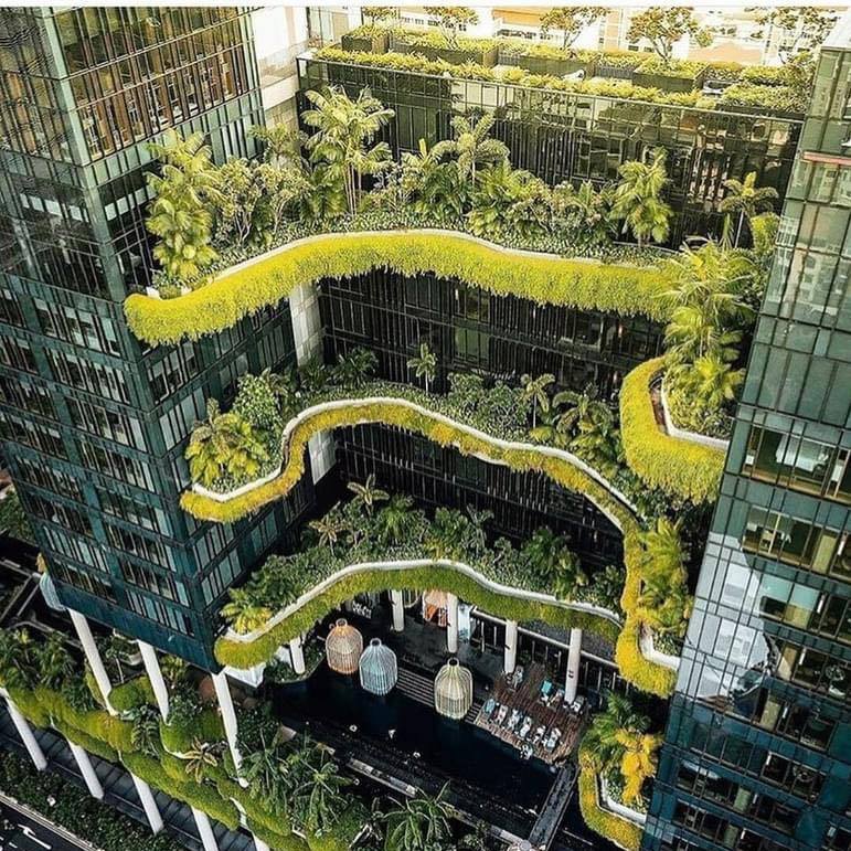 Ngôi Nhà Singapore Độc Đáo: Sự Hòa Quyện Giữa Thiên Nhiên và Kiến Trúc