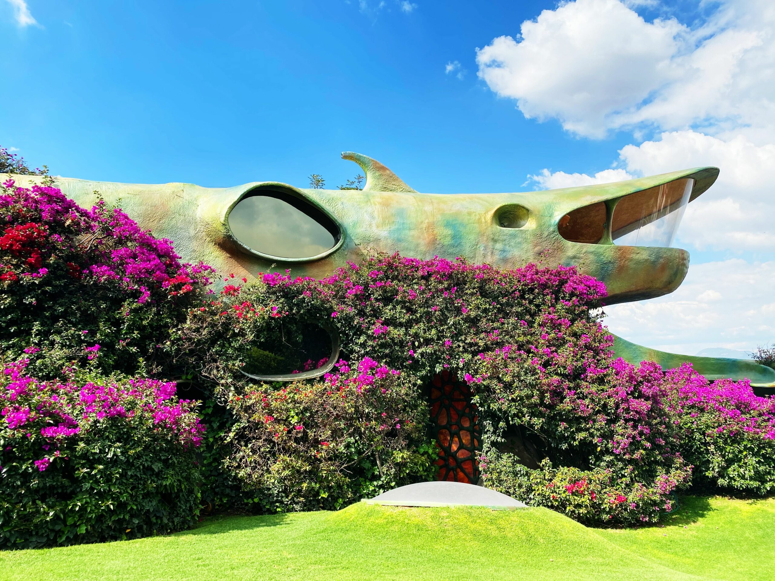 Ngôi Nhà Củ Lạc Dưới Lòng Đất: Kiến Trúc Độc Đáo Hòa Mình Vào Thiên Nhiên