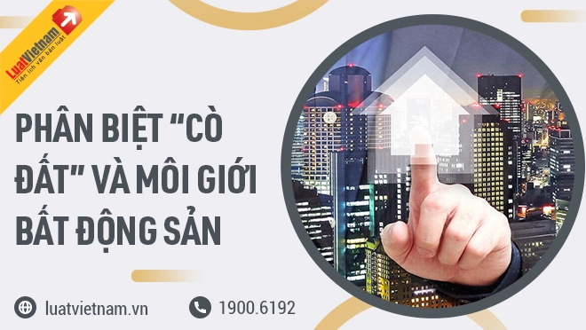 Cò Nhà Đất Hay Môi Giới Bất Động Sản Chuyên Nghiệp: Lựa Chọn Nào Thông Minh Hơn?