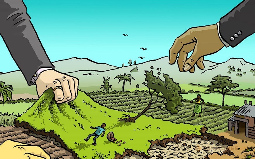 Giải mã ký hiệu ‘T’ trên Sổ Đỏ cũ: Đất ở và cách xử lý khi bị chuyển đổi mục đích sử dụng