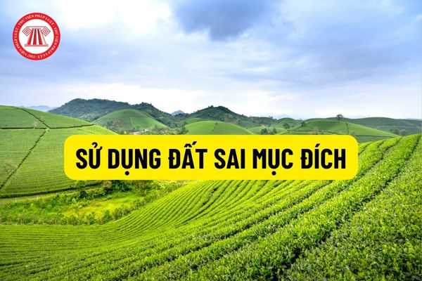 Nhức nhối tình trạng sử dụng đất công sai mục đích: Thực trạng và giải pháp