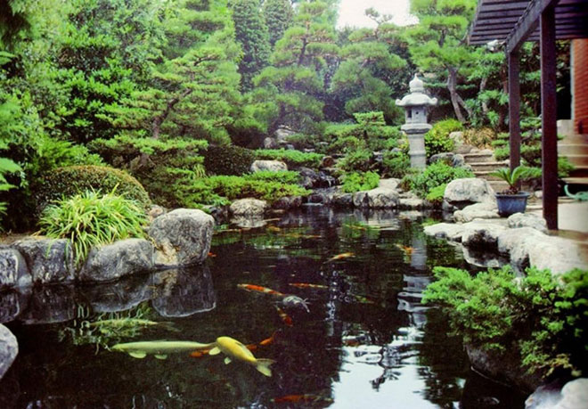 Khám Phá Khu Vườn Nhật Bản Độc Đáo: Tuyệt Tác Zen Giữa Lòng Xứ Wales