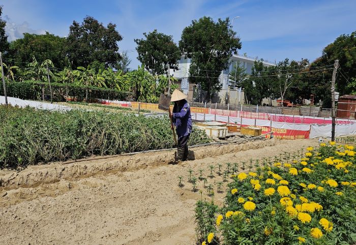 Phân tích Quyết định 10/2019/QĐ-UBND về giá đất Đồng Nai: Tác động và lưu ý