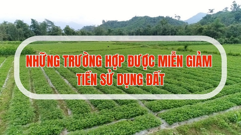 Đà Nẵng Phân Cấp Quyền Miễn, Giảm Tiền Sử Dụng Đất cho Người Có Công