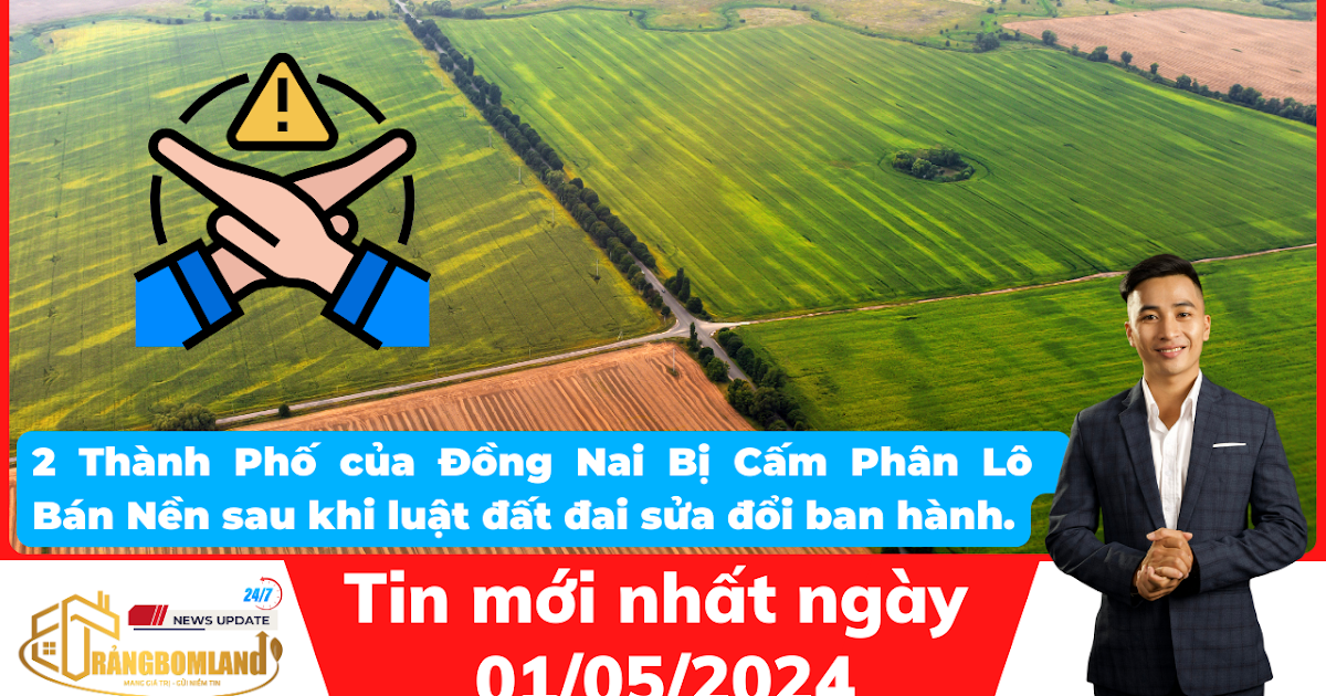 Phân Lô Bán Nền Đất Nông Nghiệp Tại Đồng Nai: Thực Trạng và Giải Pháp