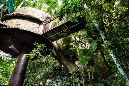 Nhà Cây Độc Đáo của Đào Anh Khánh: Biểu Tượng Sống Xanh Giữa Lòng Hà Nội