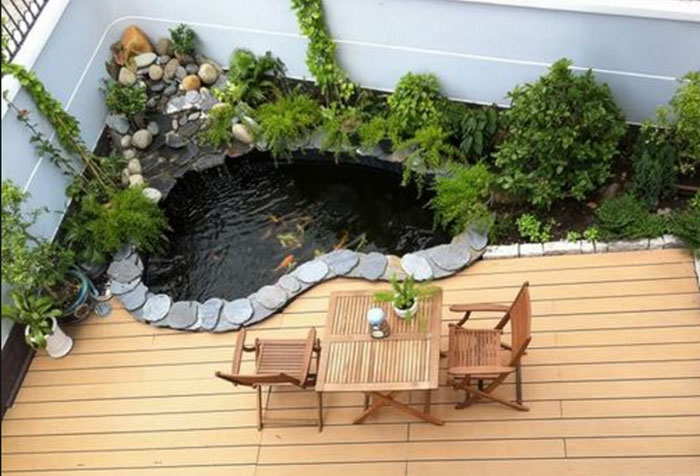 Bể cá ngoài trời: Kinh nghiệm xương máu và giải pháp cải tạo