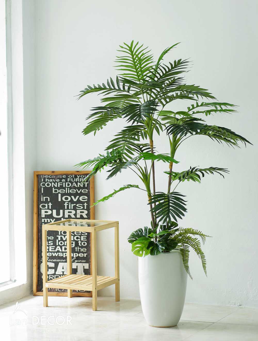 10 Ý Tưởng Trang Trí Nhà Bằng Cây Cảnh Độc Đáo và Dễ Thực Hiện